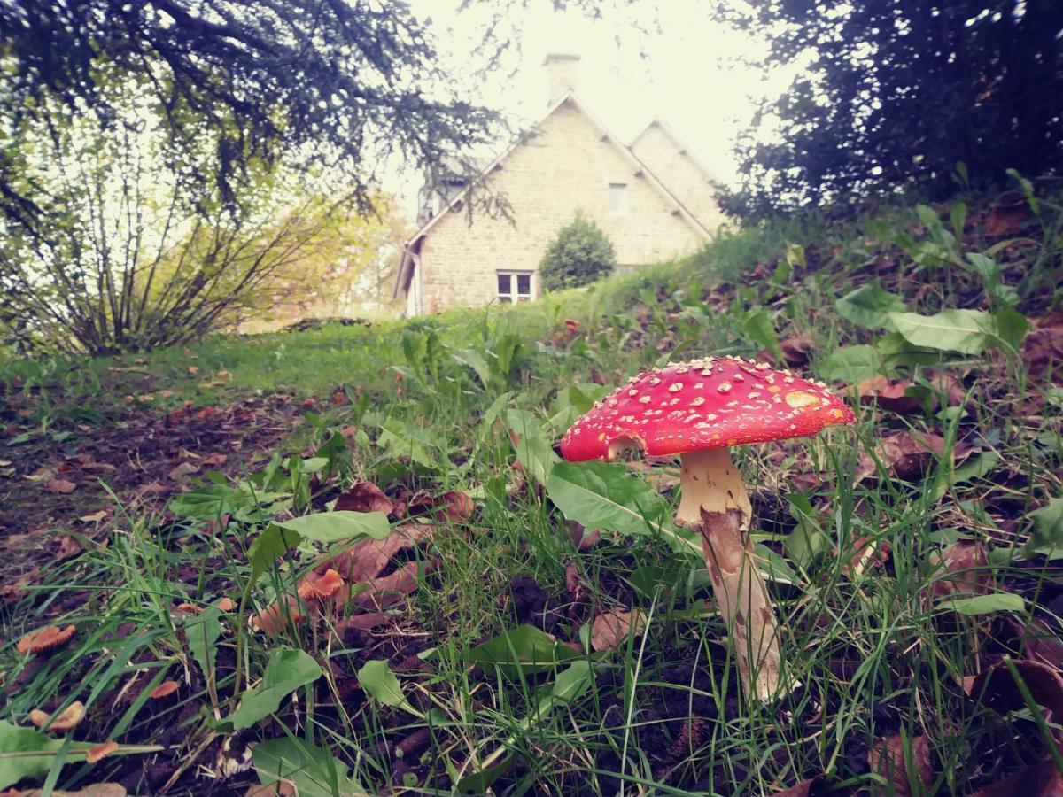 Maison Du Tertre Lonlay-l'Abbaye Екстериор снимка